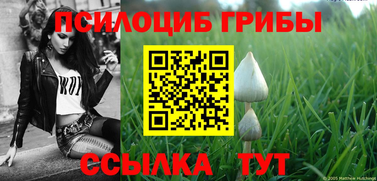 Галлюциногенные грибы мицелий  Галлюциногенные грибы мухоморы  Вход с VPN  Тихорецк 